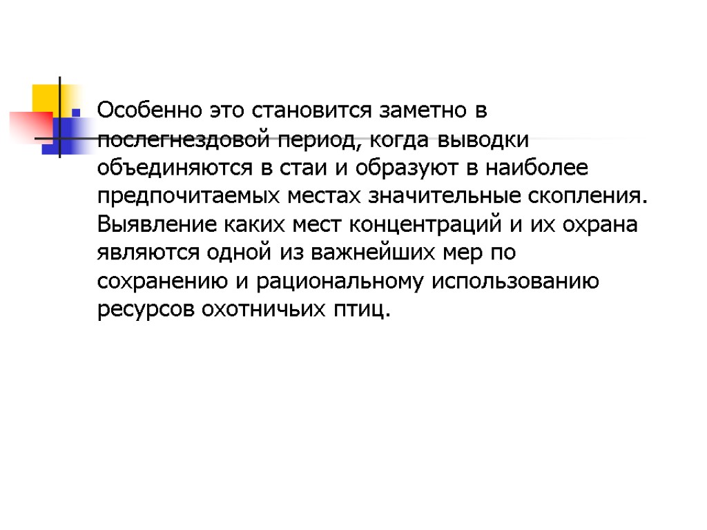 Особенно это становится заметно в послегнездовой период, когда выводки объединяются в стаи и образуют